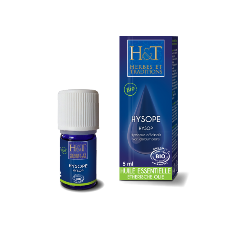 hysope officinale