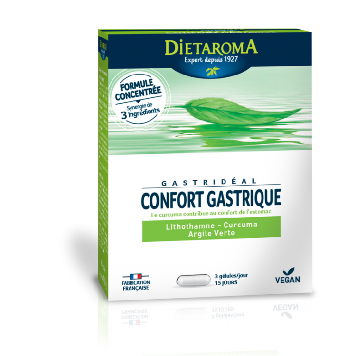 GASTRIDEAL Confort gastrique 45 gélules
