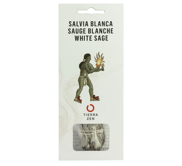 Sauge Blanche de Californie (8-11 cm) - Sac
